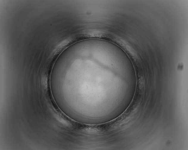 X0000101210537200807071341