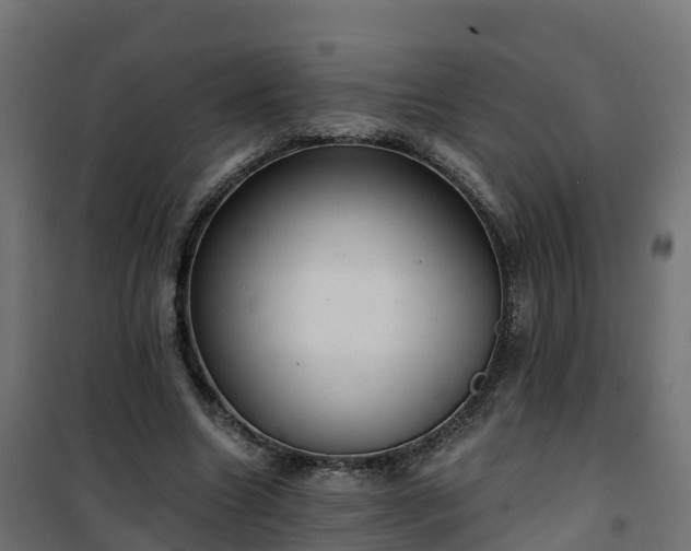 X0000101210538200807071341