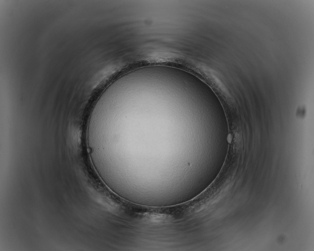 X0000101210539200807071341