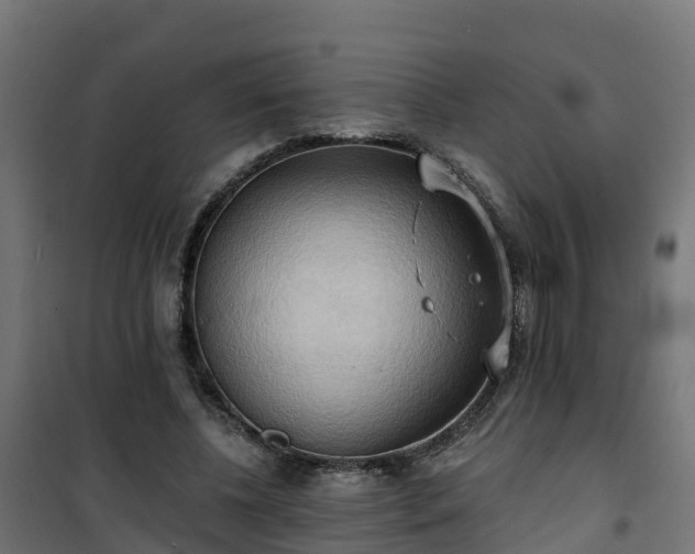 X0000101210540200807071341