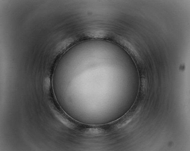 X0000101210541200807071341