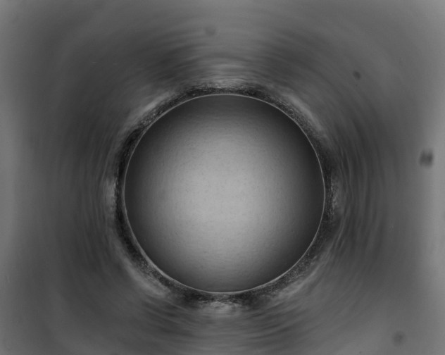 X0000101210542200807071341