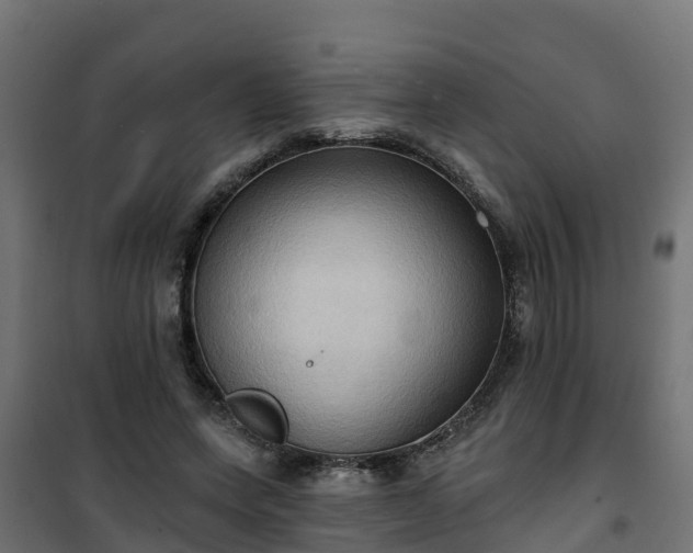 X0000101210543200807071341