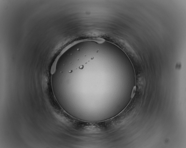 X0000101210544200807071341