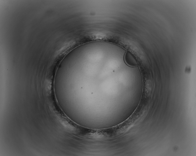 X0000101210545200807071341