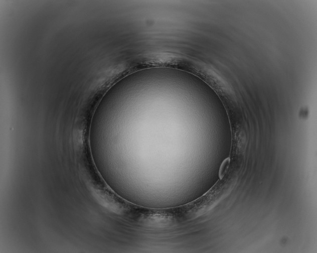 X0000101210546200807071341