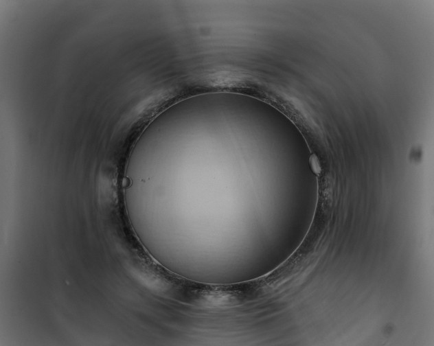 X0000101210547200807071341