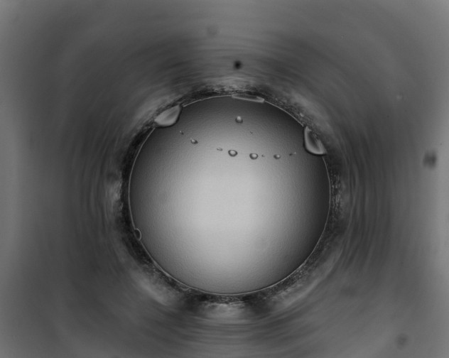 X0000101210548200807071341