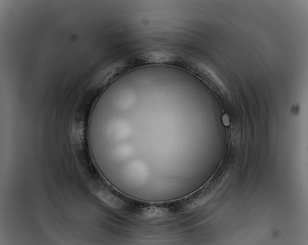 X0000101210549200807071341