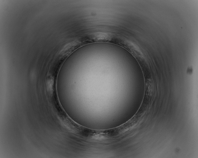 X0000101210550200807071341