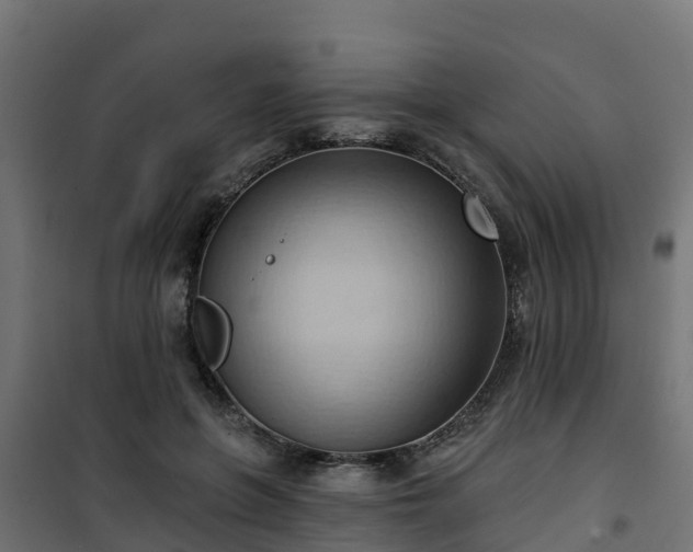 X0000101210551200807071341