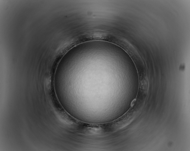 X0000101210552200807071341