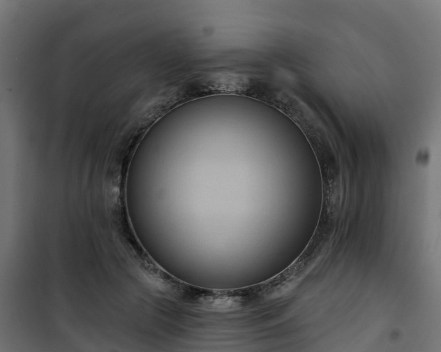 X0000101210553200807071341