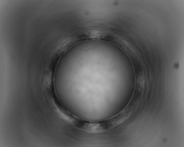 X0000101210554200807071341