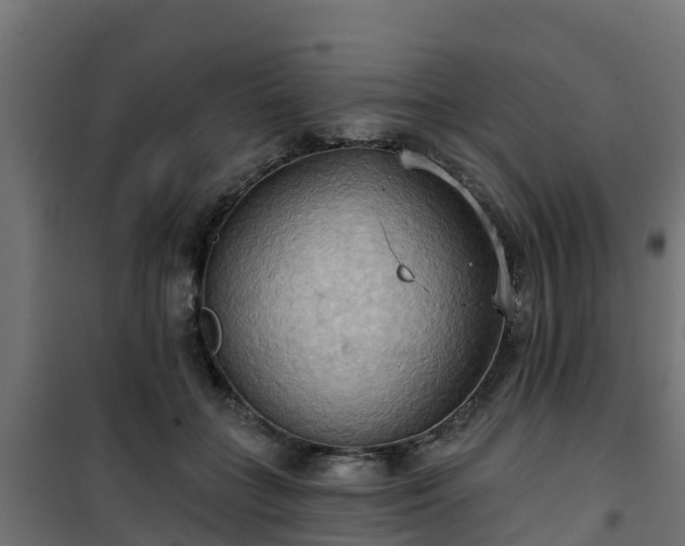 X0000101210555200807071341