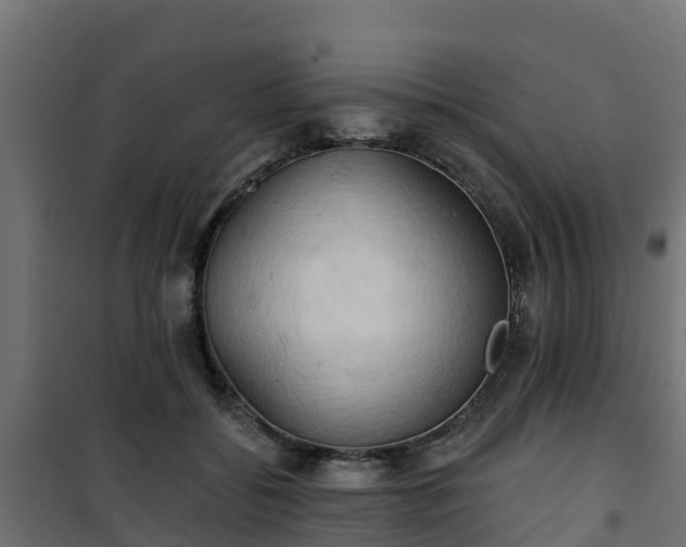 X0000101210556200807071341