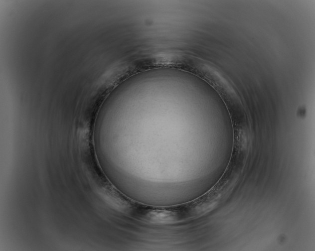 X0000101210557200807071341