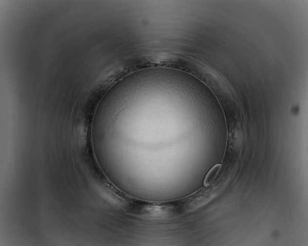 X0000101210558200807071341