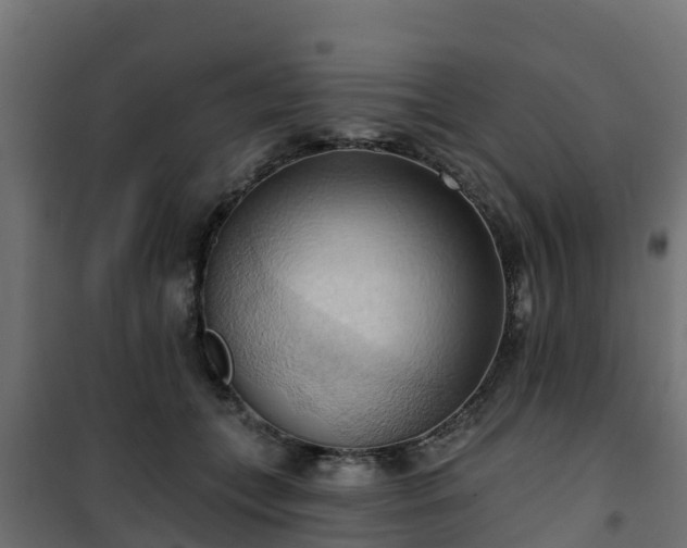 X0000101210559200807071341