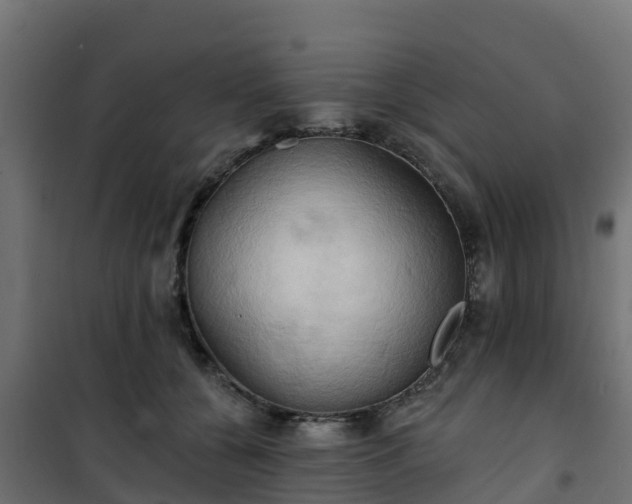 X0000101210560200807071341