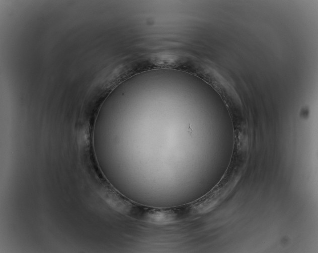 X0000101210561200807071341