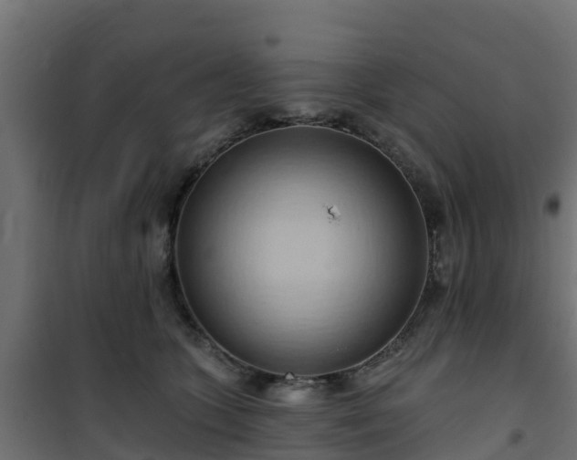 X0000101210563200807071341