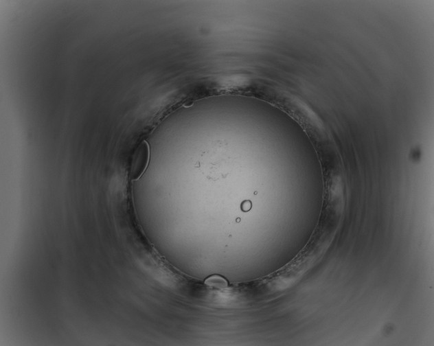 X0000101210565200807071342