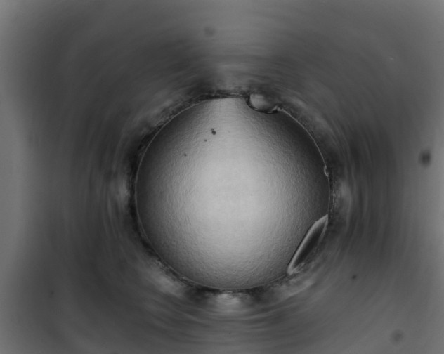 X0000101210566200807071342