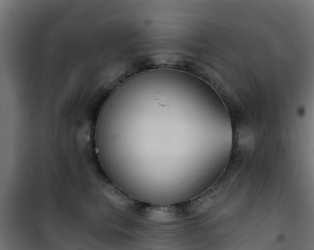 X0000101210567200807071342