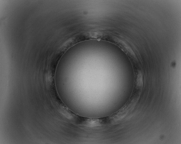 X0000101210569200807071342