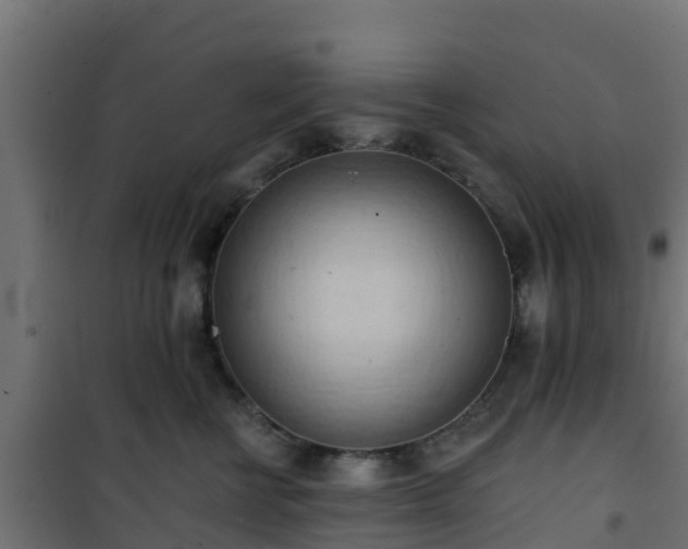 X0000101210570200807071342