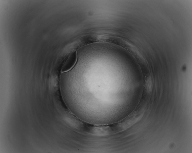 X0000101210571200807071342