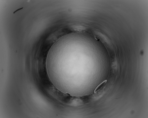 X0000101210572200807071342