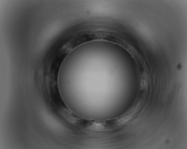 X0000101210573200807071342