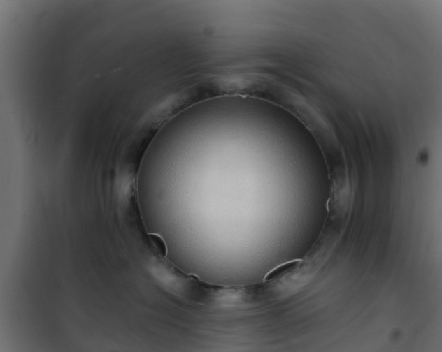 X0000101210574200807071342