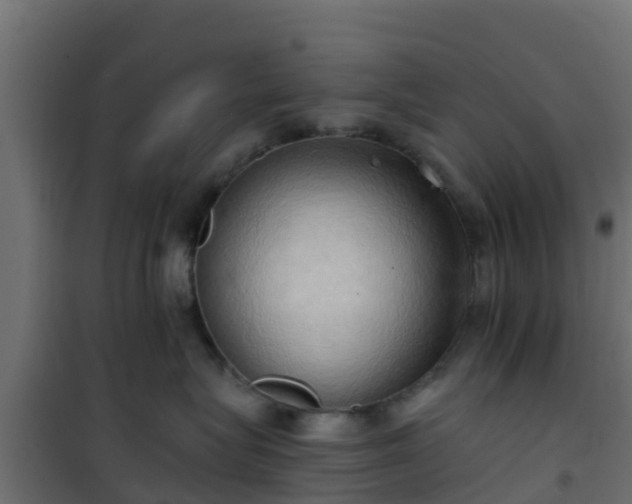 X0000101210575200807071342