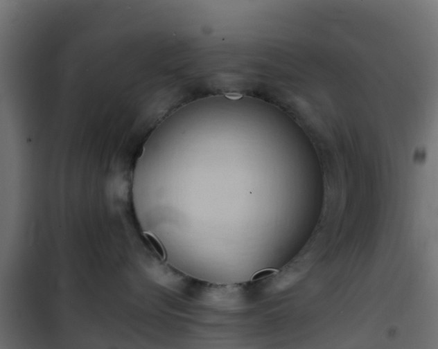 X0000101210576200807071342