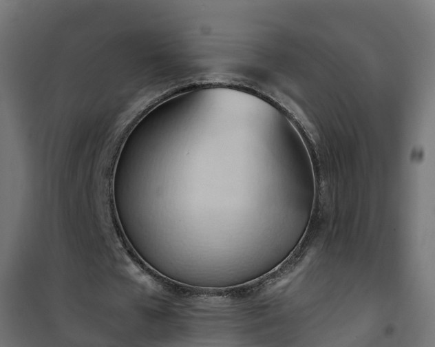 X0000101210577200807071341