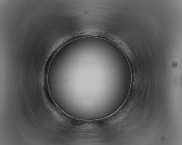 X0000101210578200807071341