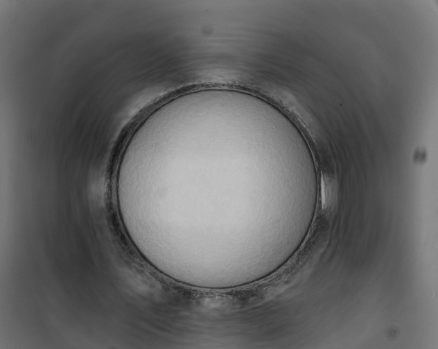 X0000101210579200807071341