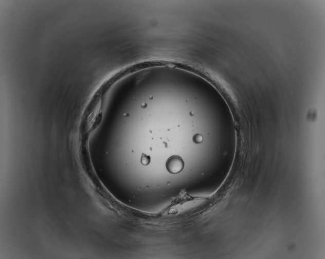 X0000101210580200807071341