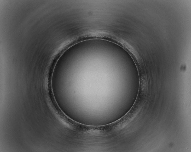 X0000101210581200807071341