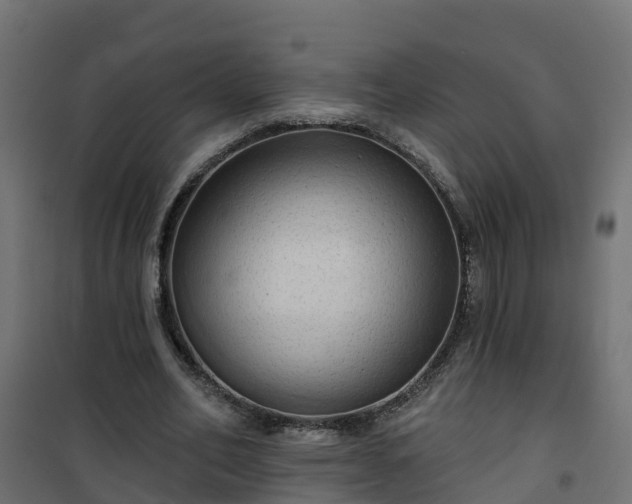 X0000101210582200807071341