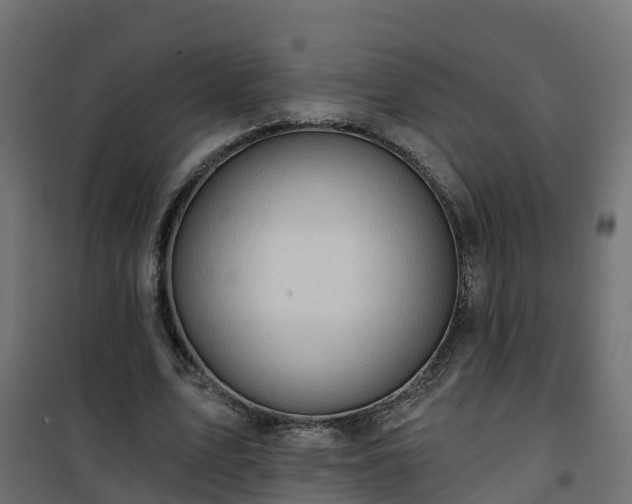 X0000101210583200807071341