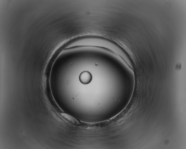 X0000101210584200807071341