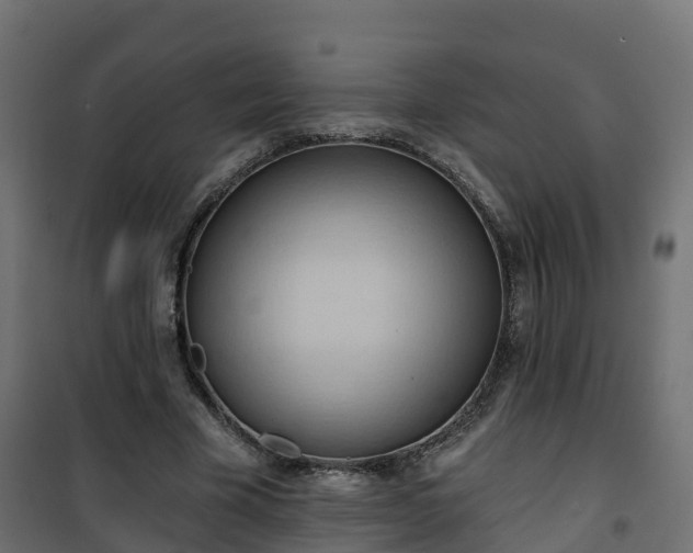 X0000101210585200807071341