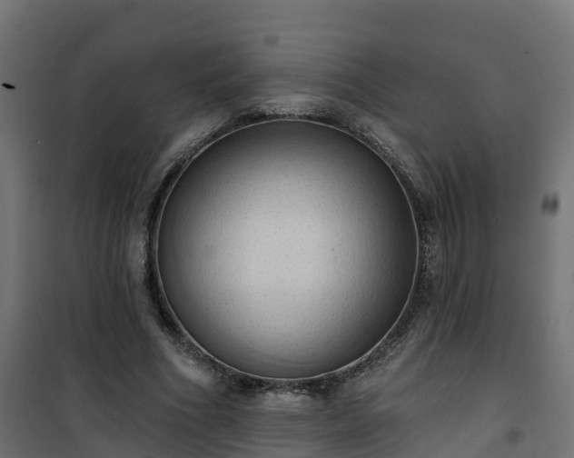 X0000101210586200807071341