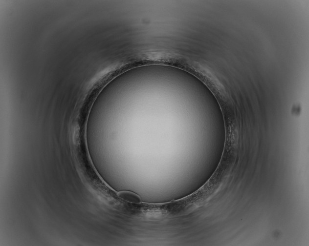 X0000101210587200807071341