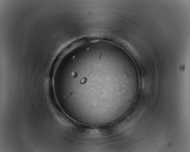 X0000101210588200807071341