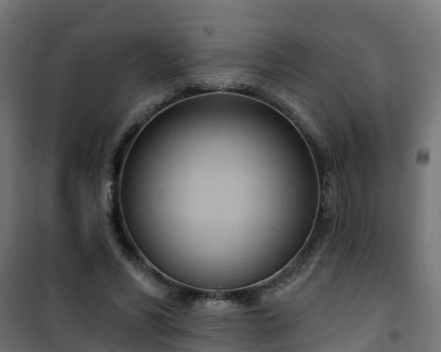 X0000101210590200807071341